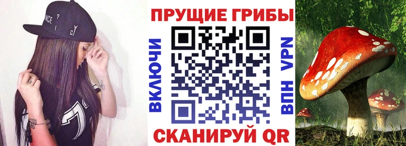Галлюциногенные грибы прущие грибы  купить наркоту  Новоузенск 
