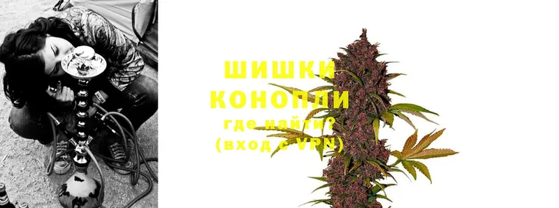 Каннабис Ganja  Новоузенск 